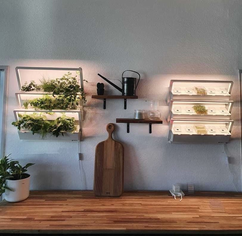 5 Vorteile von Vertical Indoor Farming im eigenen zuhause