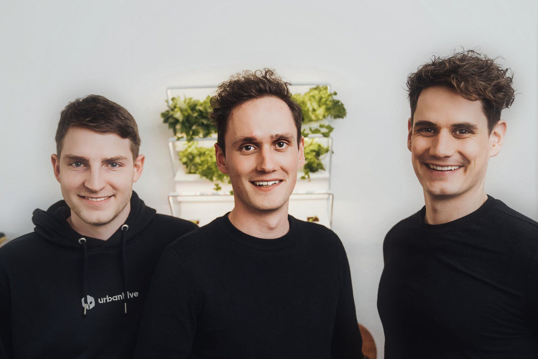 urbanhive wächst
