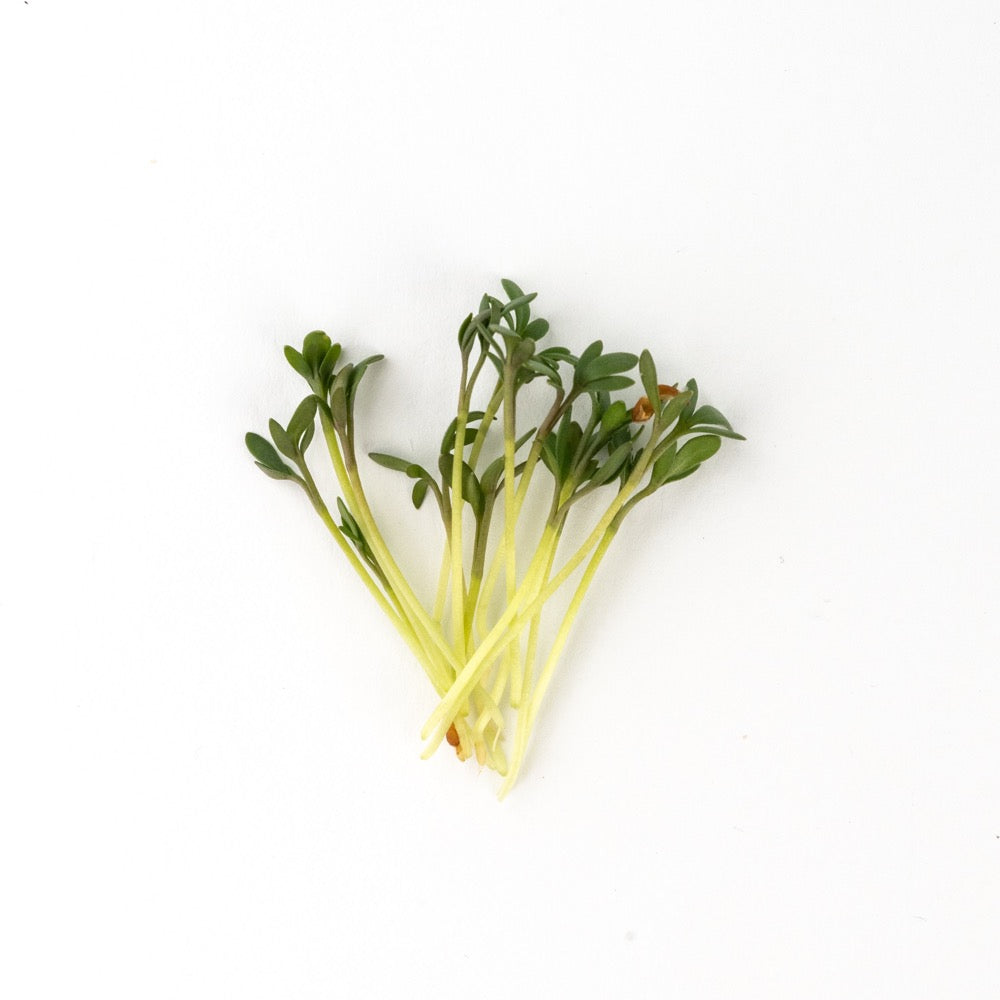 Kategorie Microgreens