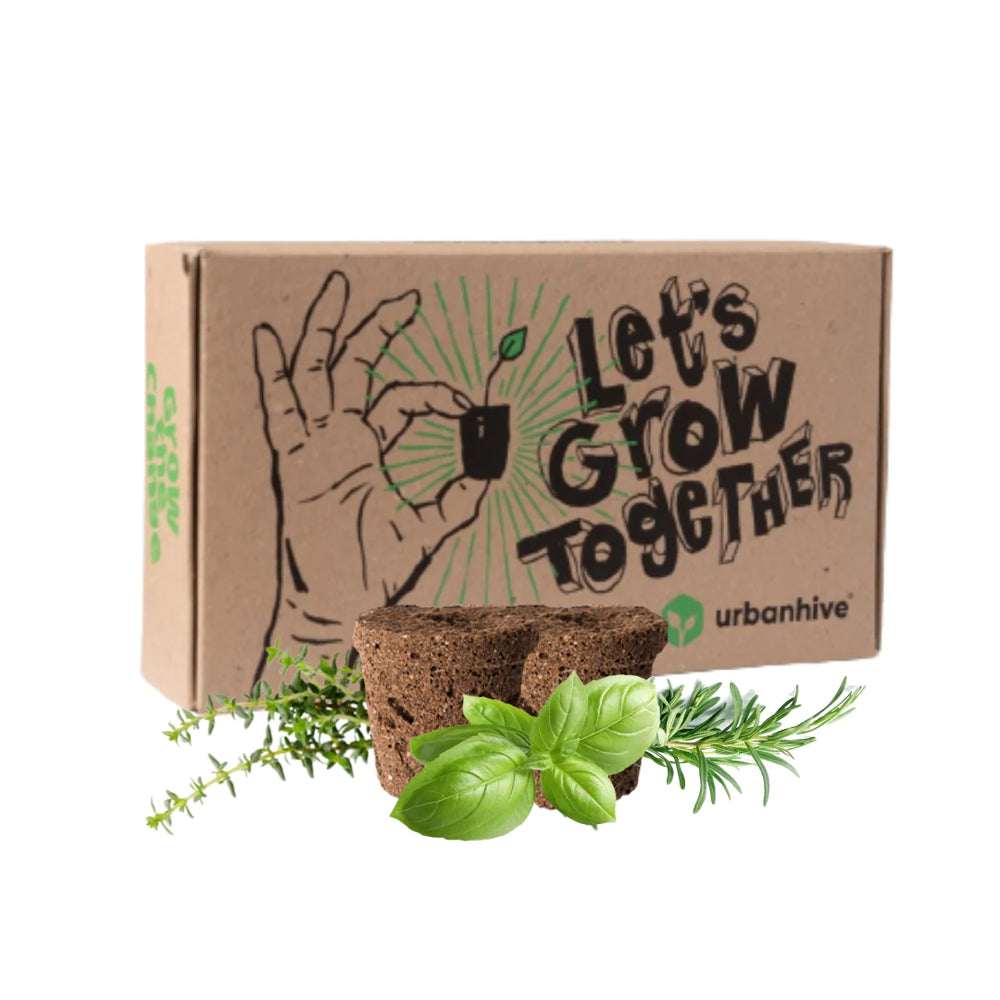 Pflanzenset "Kräutertraum" - 20er