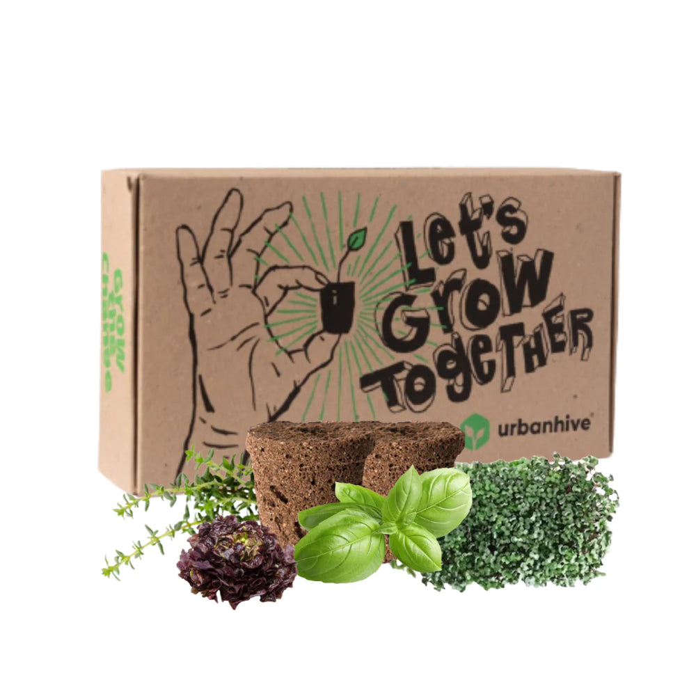 Pflanzenset "Genuss Garten Essentials" - 15er