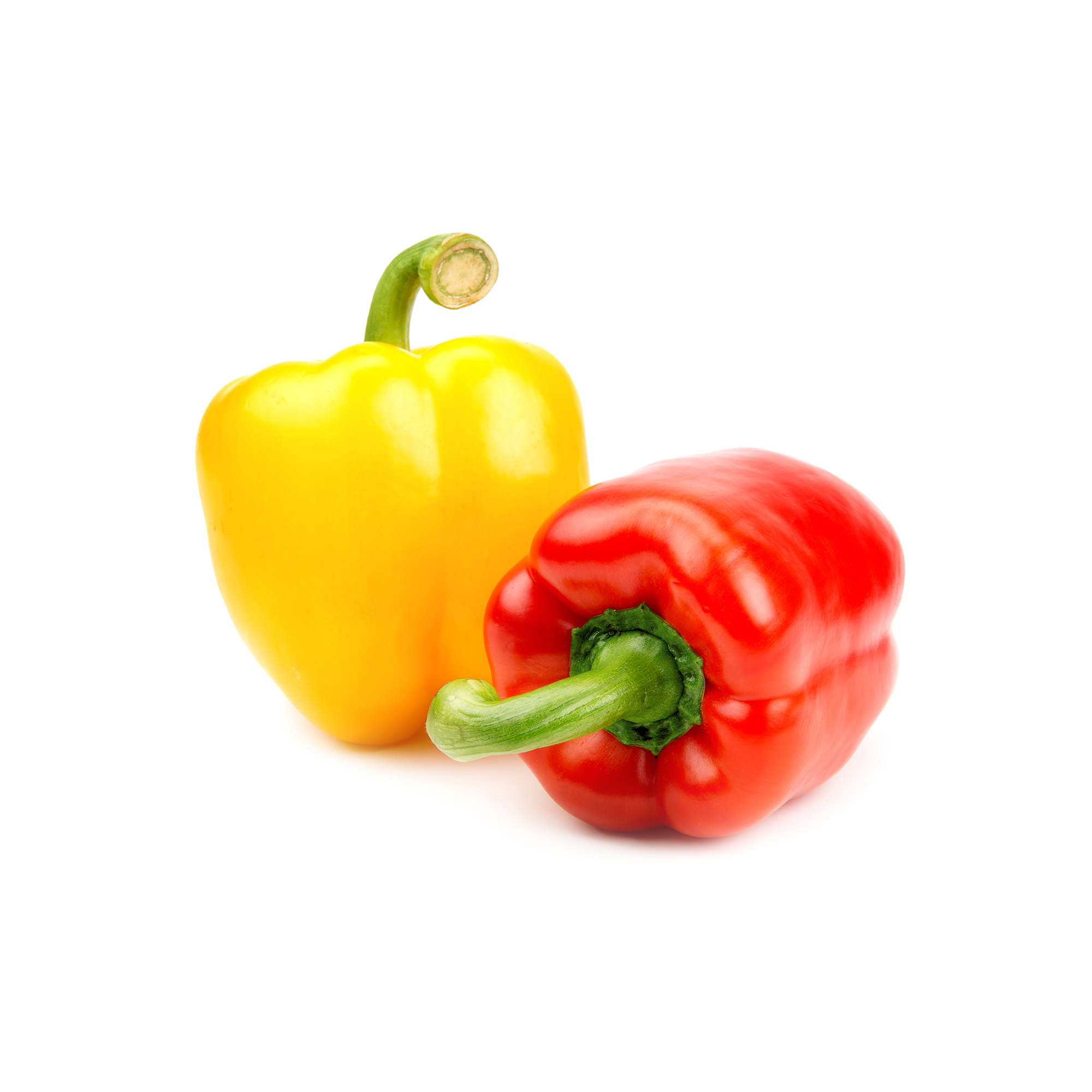 Paprika Rot 5er Pack urbanhive