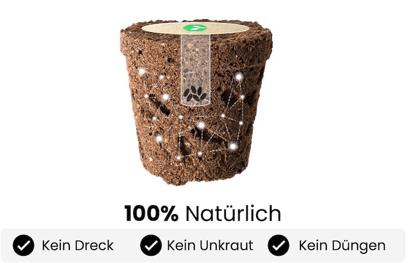 Vorteile der Samenkapseln von urbanhive