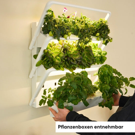 homefarm 2.0