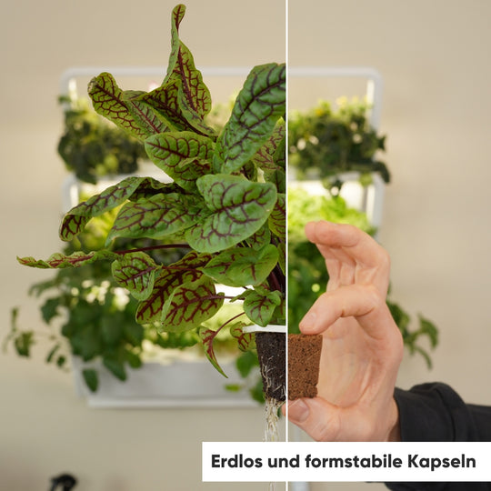 homefarm 2.0