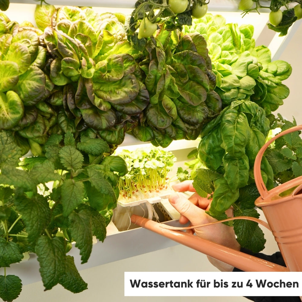 homefarm 2.0