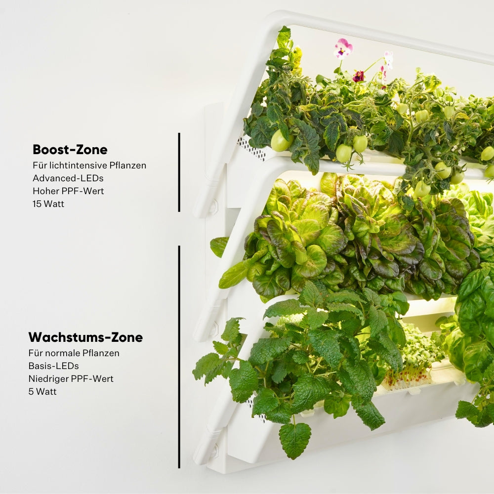 homefarm 2.0