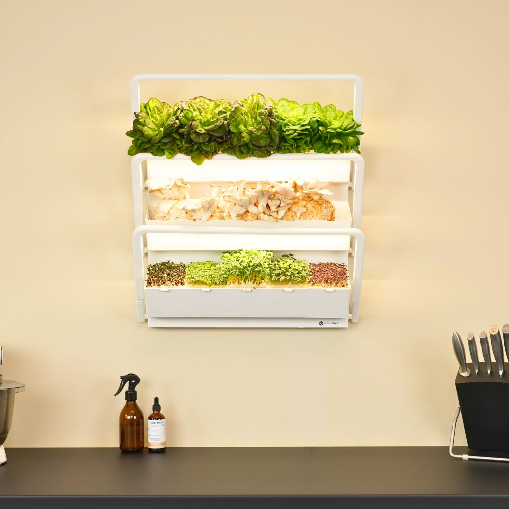 homefarm 2.0