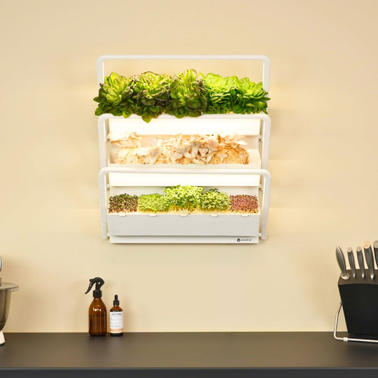 homefarm 2.0