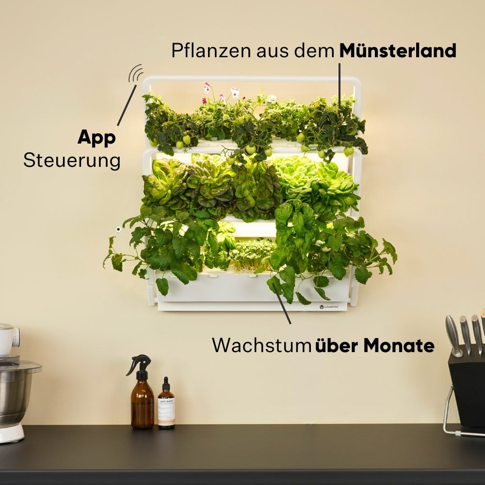 homefarm 2.0