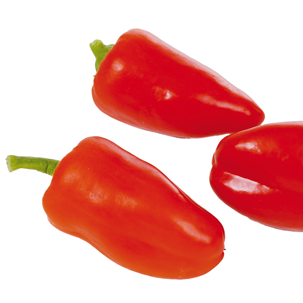 Paprika Rot 5er Pack