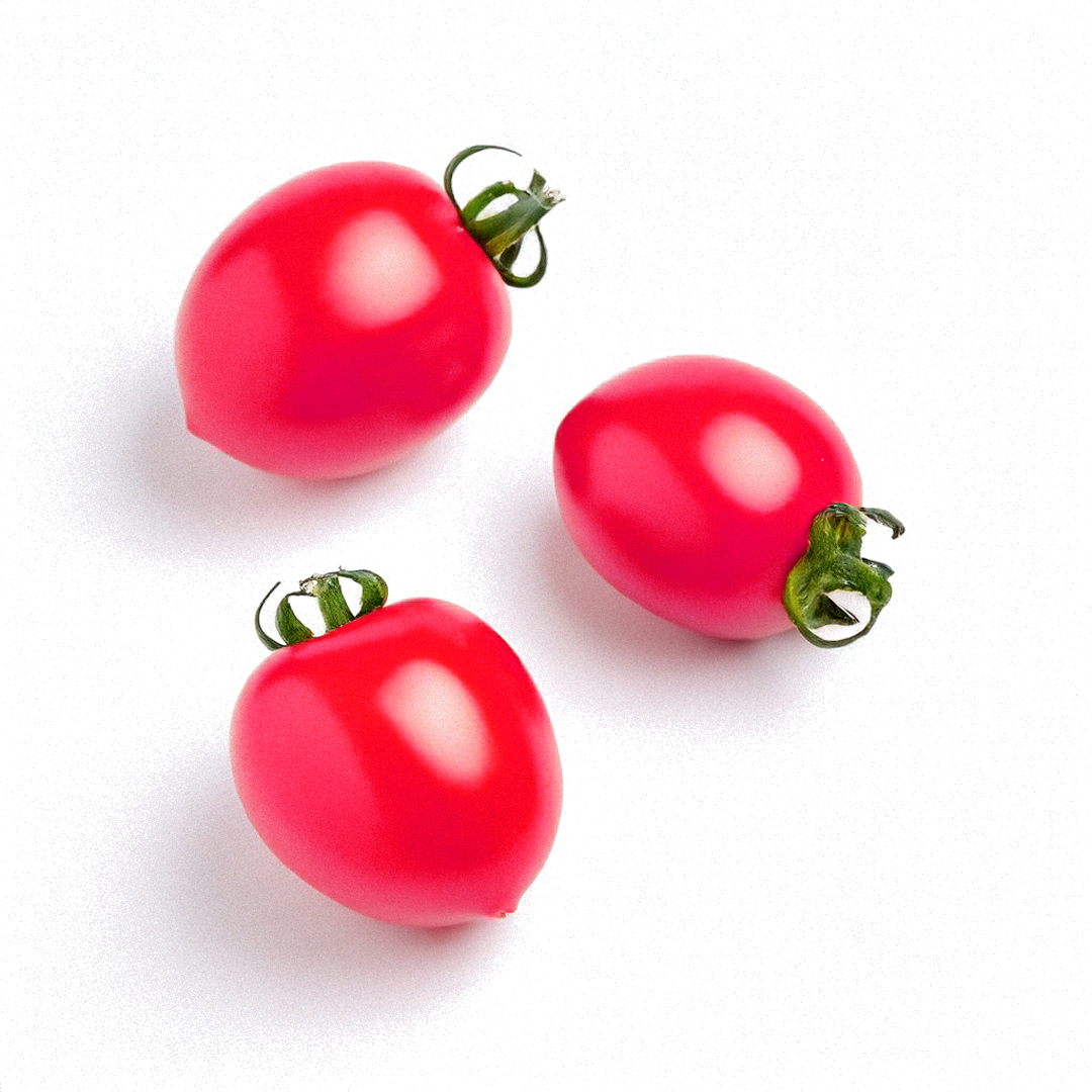 Tomaten Rose