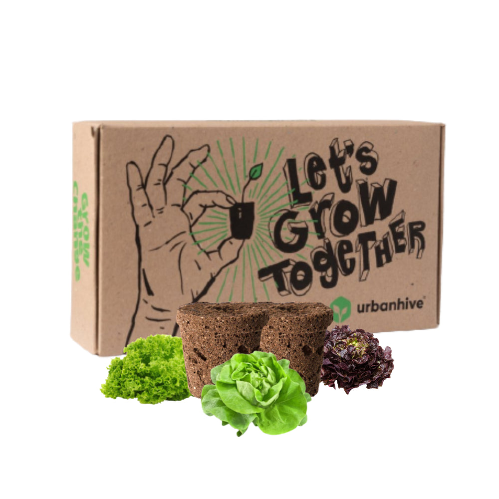 Pflanzenset "Salatliebe" - 15er