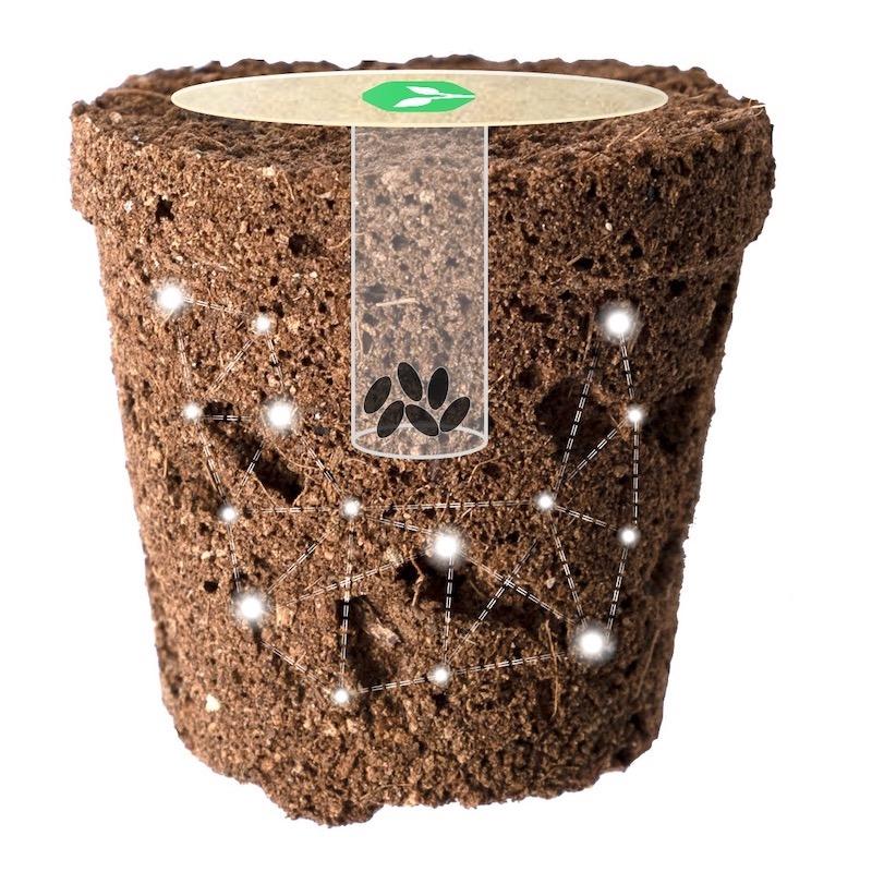 Aus der Pflanzenkapsel von urbanhive wachsen in der homefarm frische Kräuter, Salat und Microgreen Pflanzen