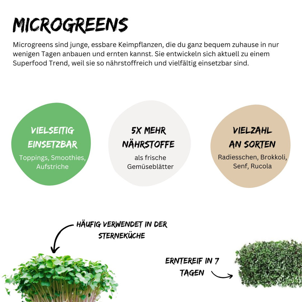 Microgreens Kresse 5er Pack