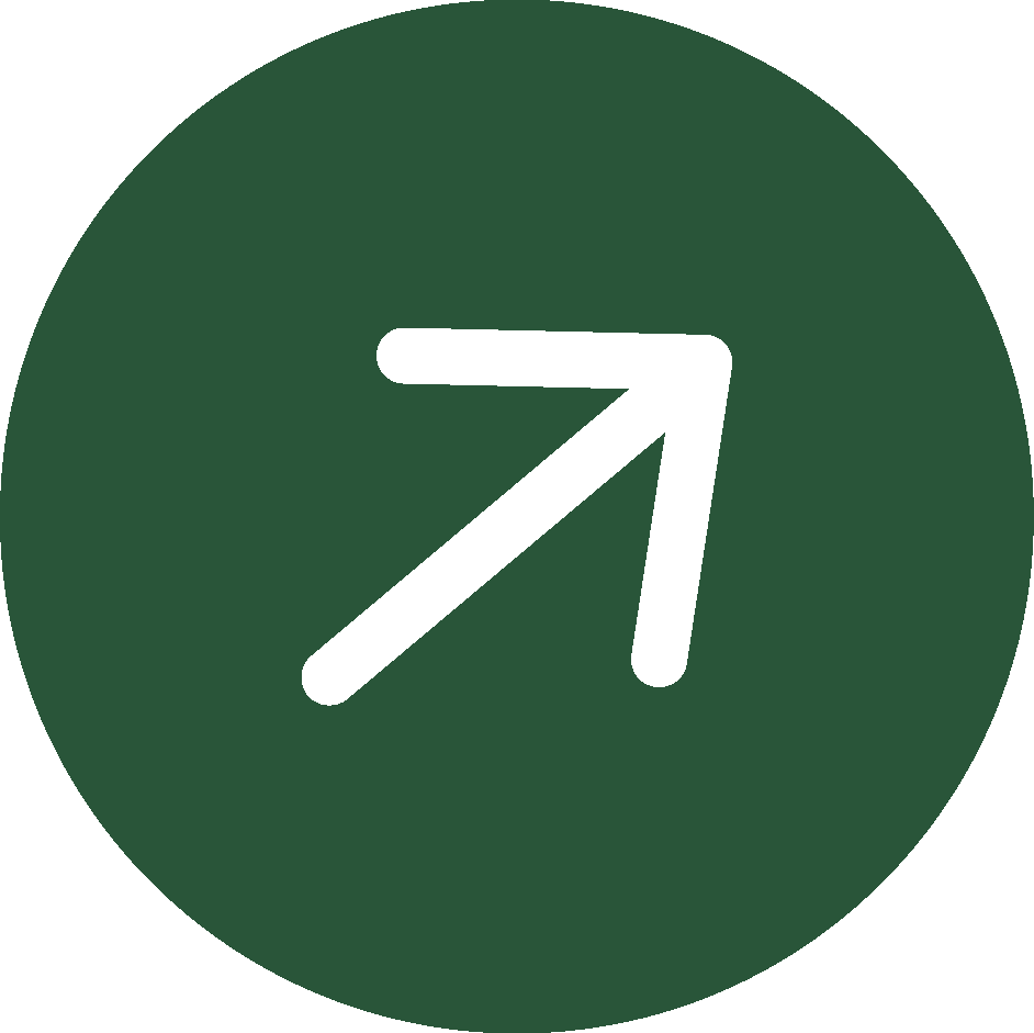 Link Icon