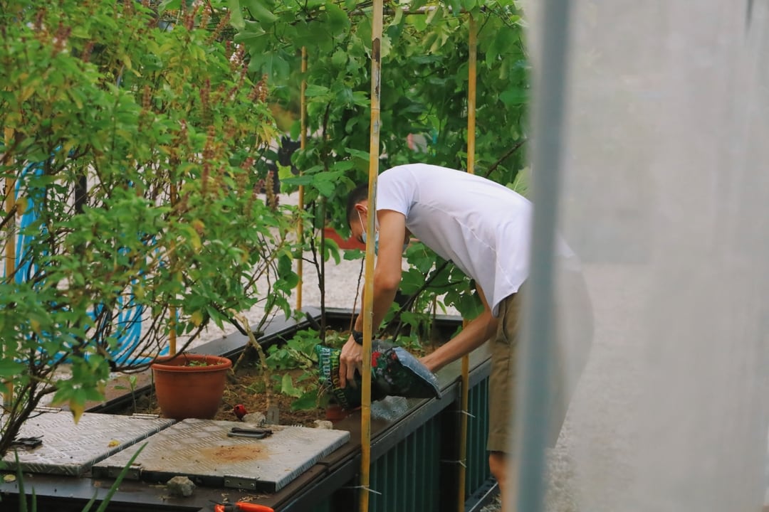 Farming and Gardening