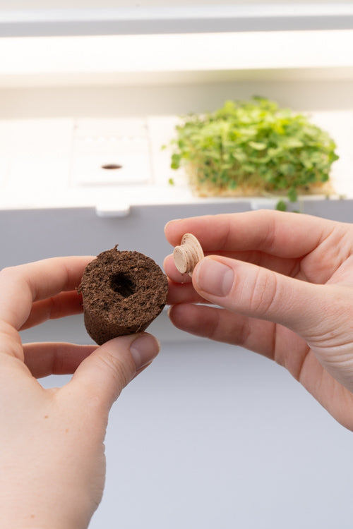 The Benefits of urbanhive Plant Pods