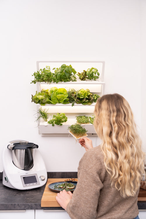 urbanfarm becomes homefarm