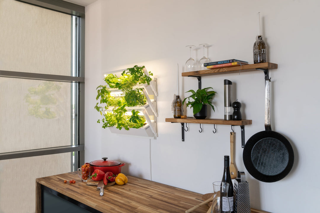 The Indoor Garden – Vegetables and Herbs from Home