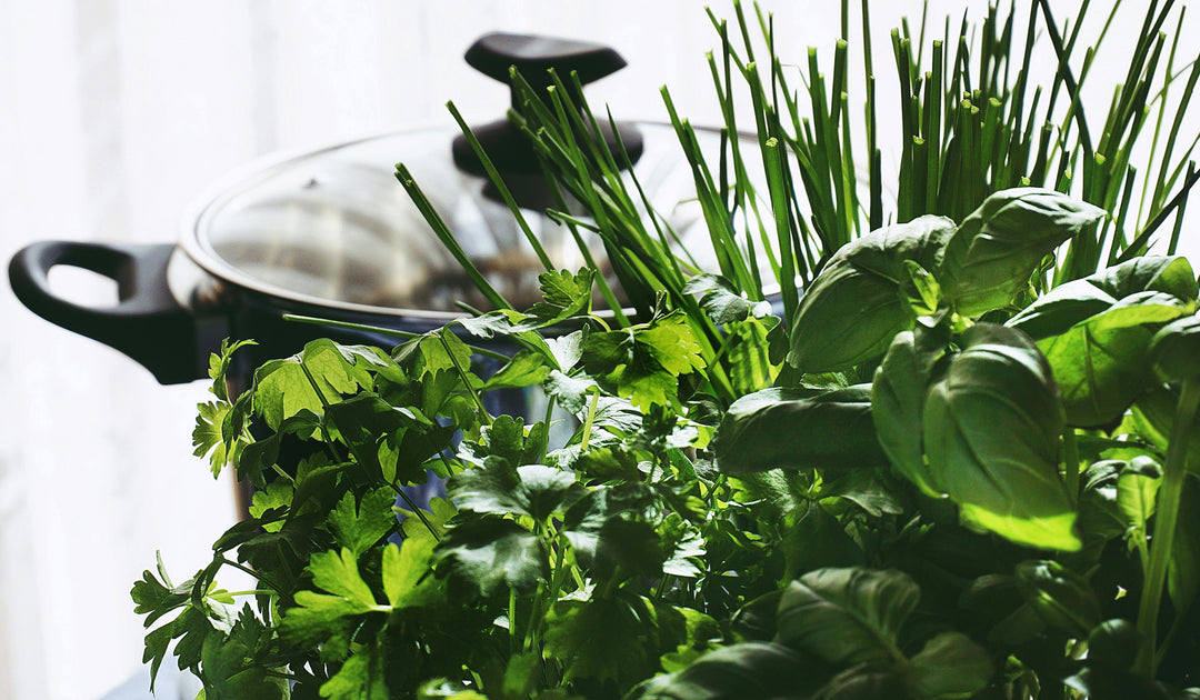 The 5 most popular autumn herbs – These herbs belong in your garden!