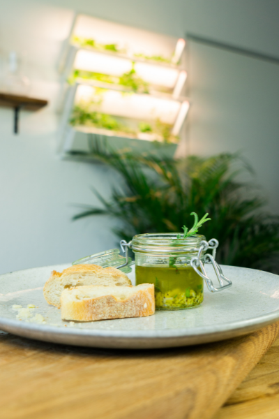 Preserving Herbs