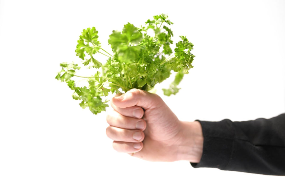 Parsley by urbanhive