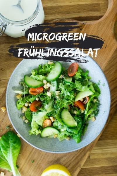 Salade de printemps aux micro-pousses