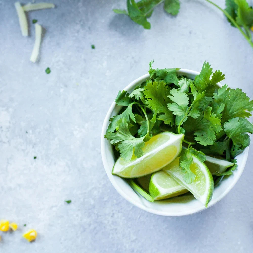 Everything you need to know about cilantro