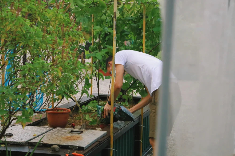 What is urban farming?