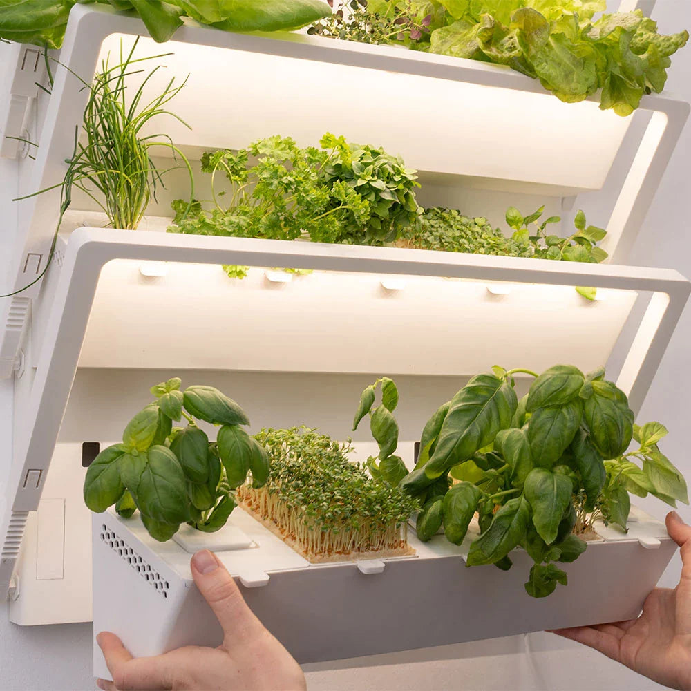 Die homefarm ist modular aufgebaut. Die Pflanzenboxen können kinderleicht ausgehangen werden, damit du deine Pflanzen mit zum Tisch nehmen kannst.