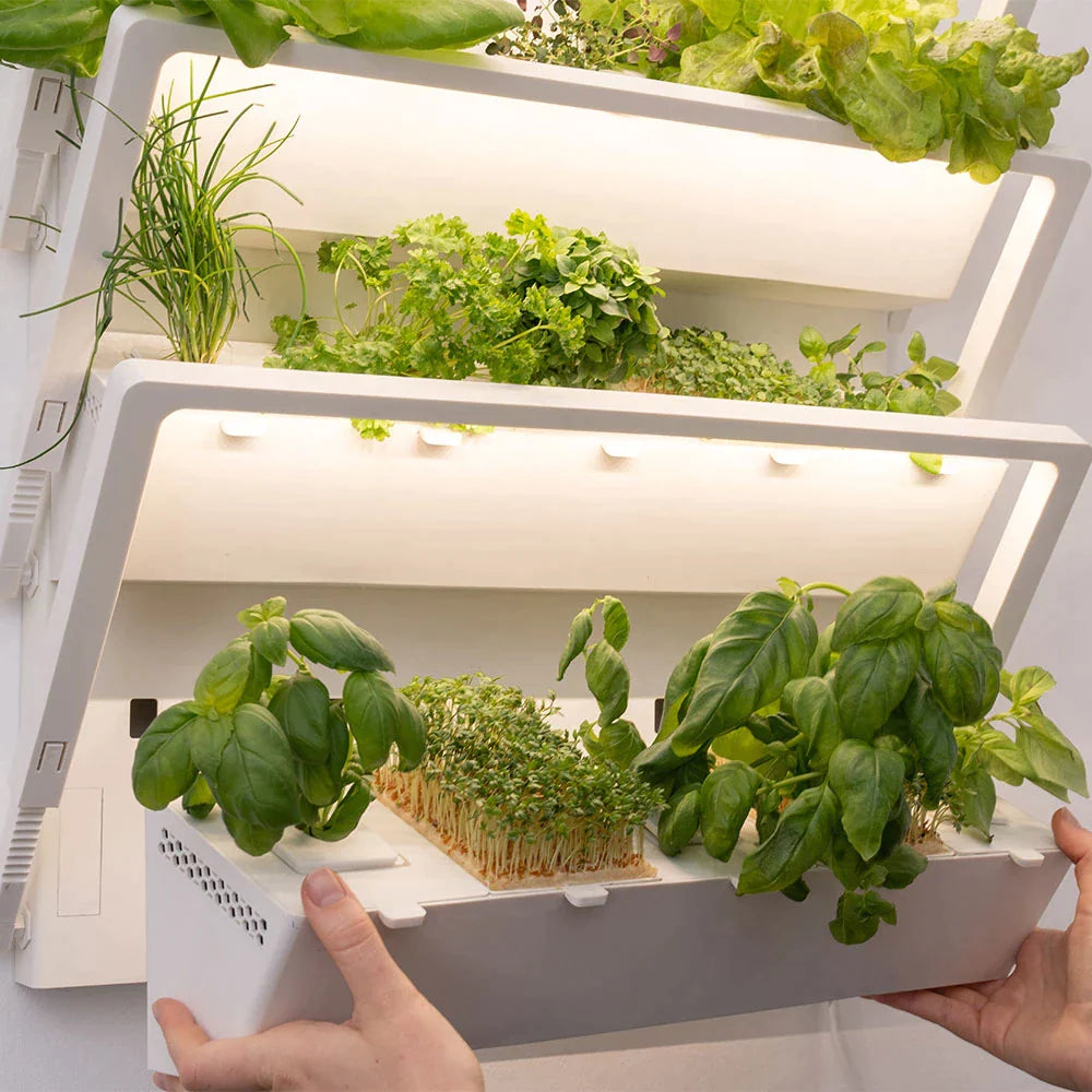 Die homefarm ist modular aufgebaut. Die Pflanzenboxen können kinderleicht ausgehangen werden, damit du deine Pflanzen mit zum Tisch nehmen kannst.