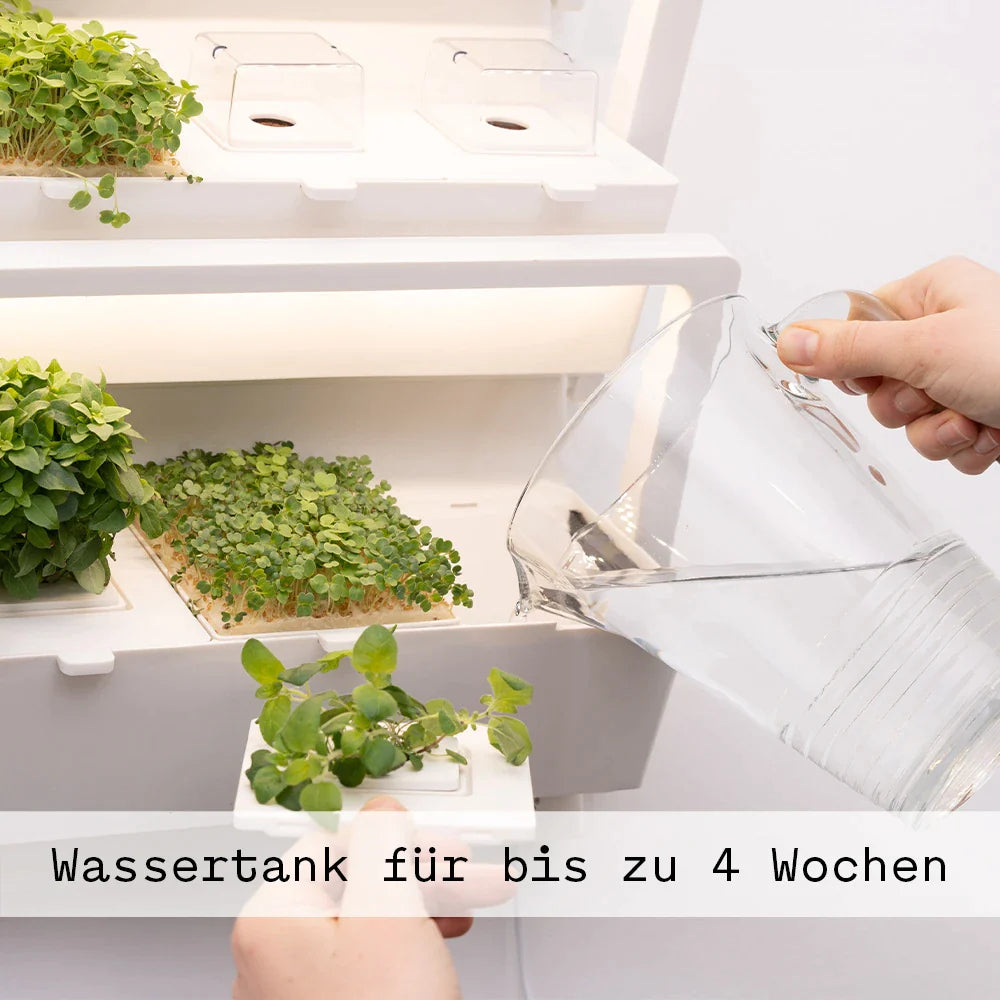 Wassertank für bis zu 4 Wochen