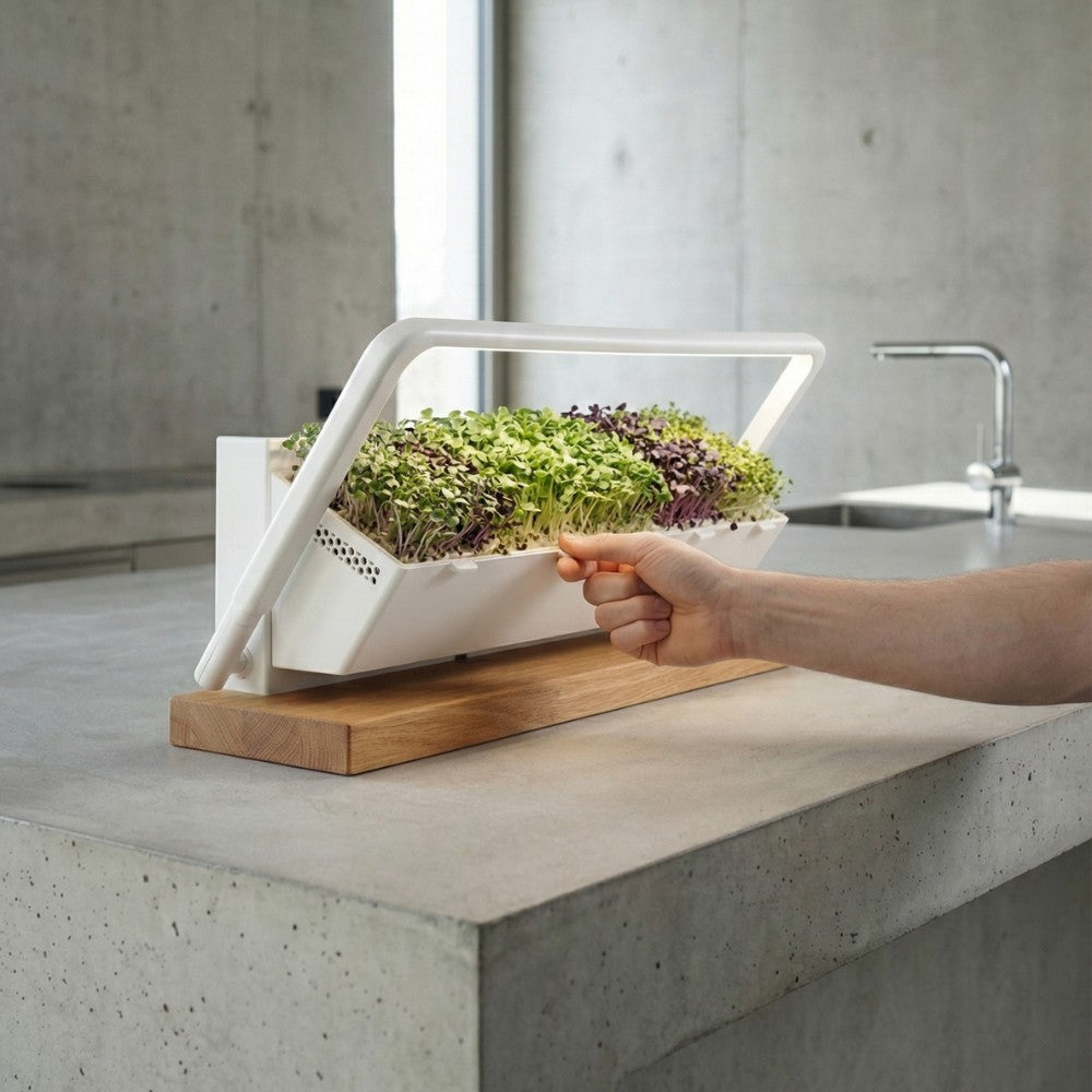 minifarm in der Küche