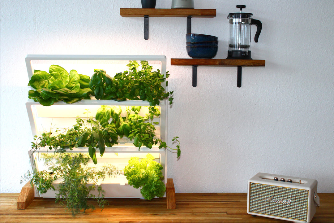 Variante de suelo de homefarm