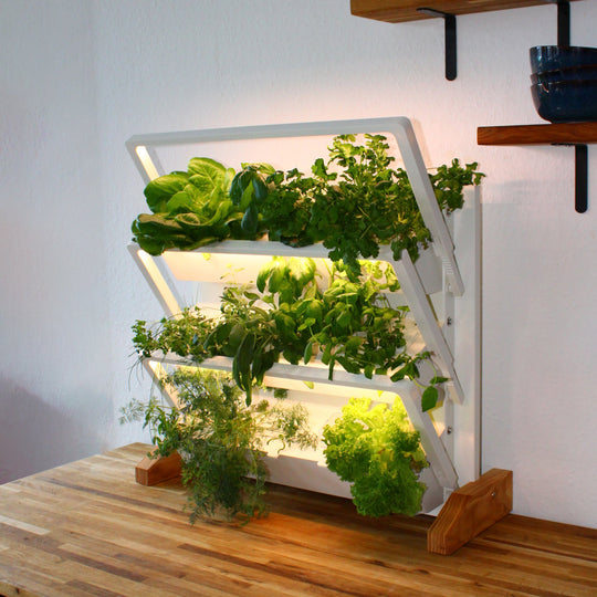 Variante de suelo de homefarm