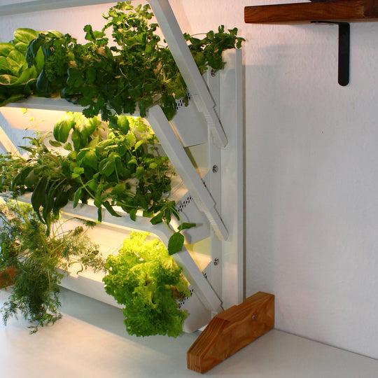 Variante de suelo de homefarm