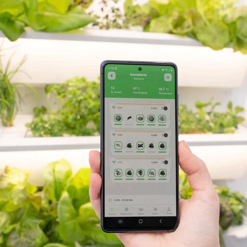 Eine Person hält ein Smartphone vor der homefarm. Zu sehen ist die urbanhive App inkl. der Pflanzen und ihrem Wachstumsfortschritt.