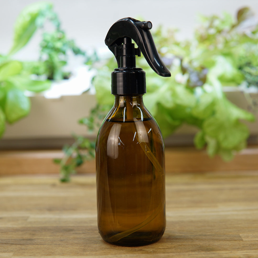 Sprühflasche für Pilze & Pflanzen