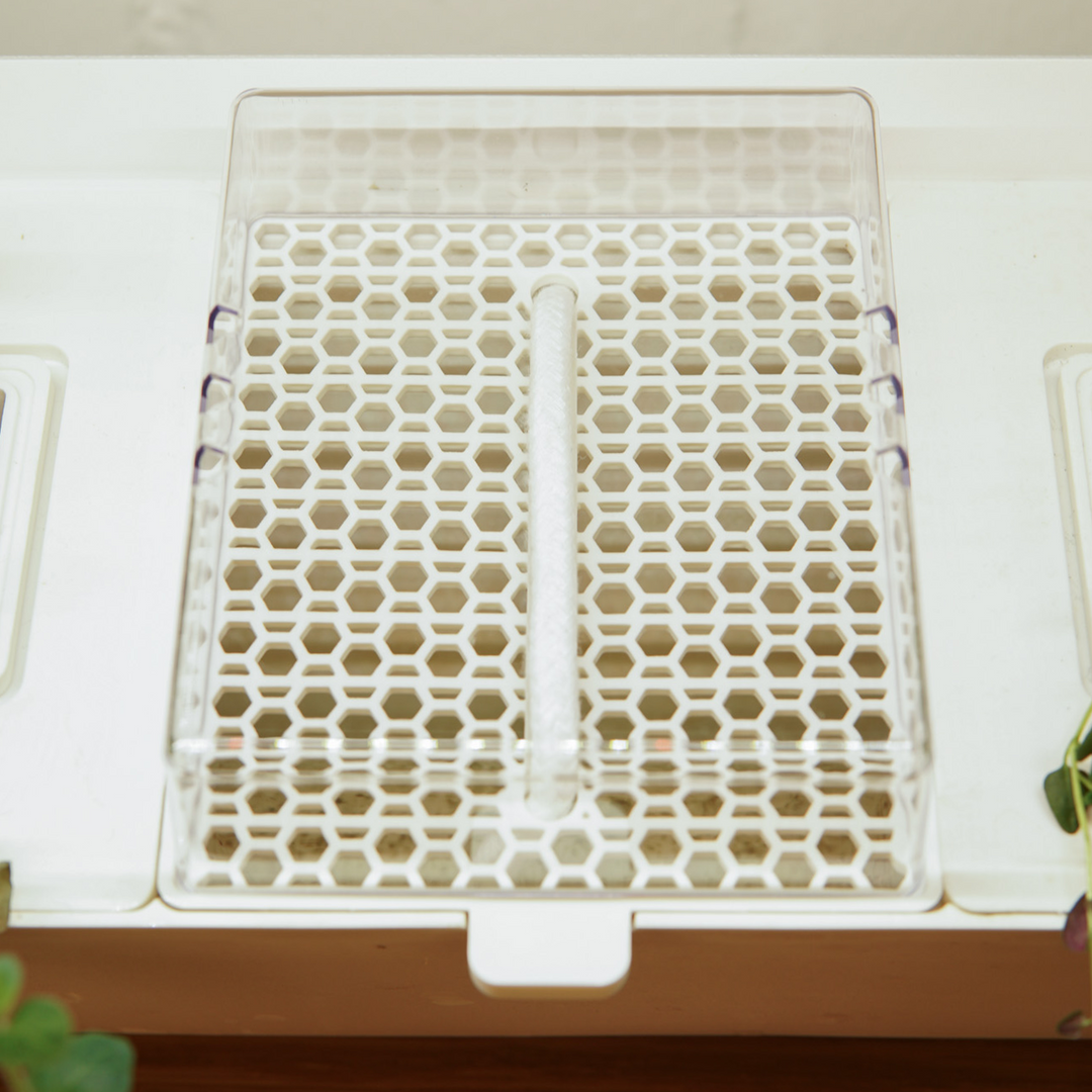 Bandejas para microvegetales, juego de 3