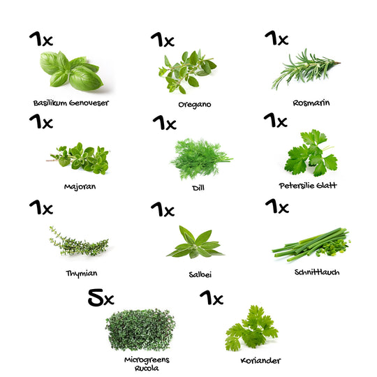 Pflanzenset "Genuss Garten Essentials" - 15er