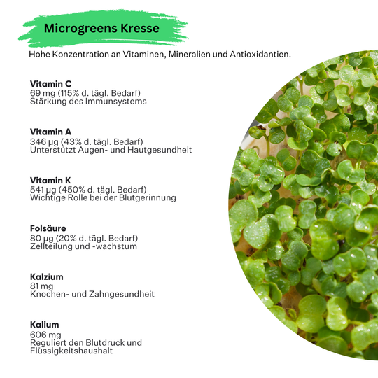 Microgreens Kresse 5er Pack