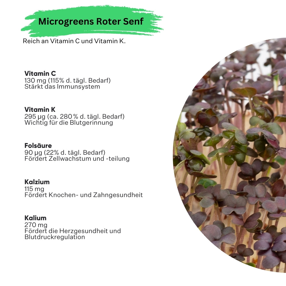 Microgreens Rode Mosterd 5 stuks