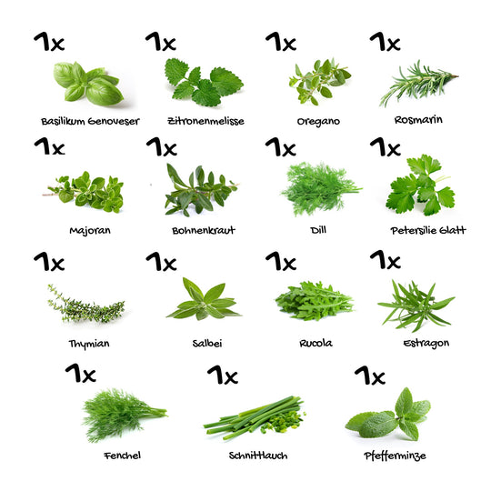 Plant set "Mediterranean Magic Spice Mix" - 15 pcs.