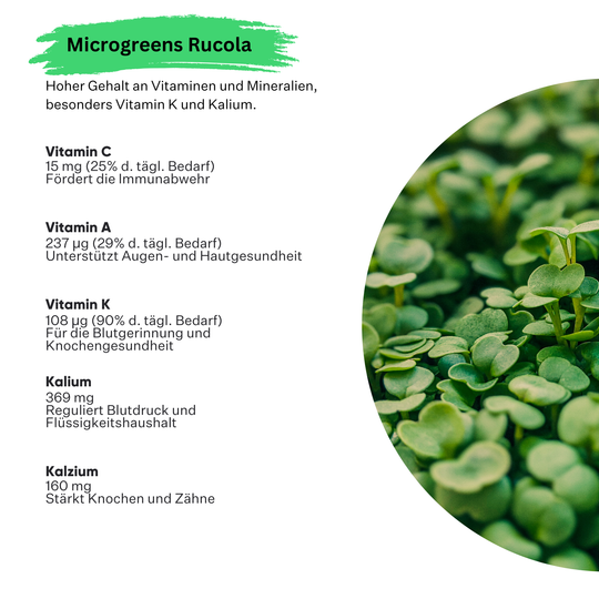 Microgreens Rucola 5er Pack