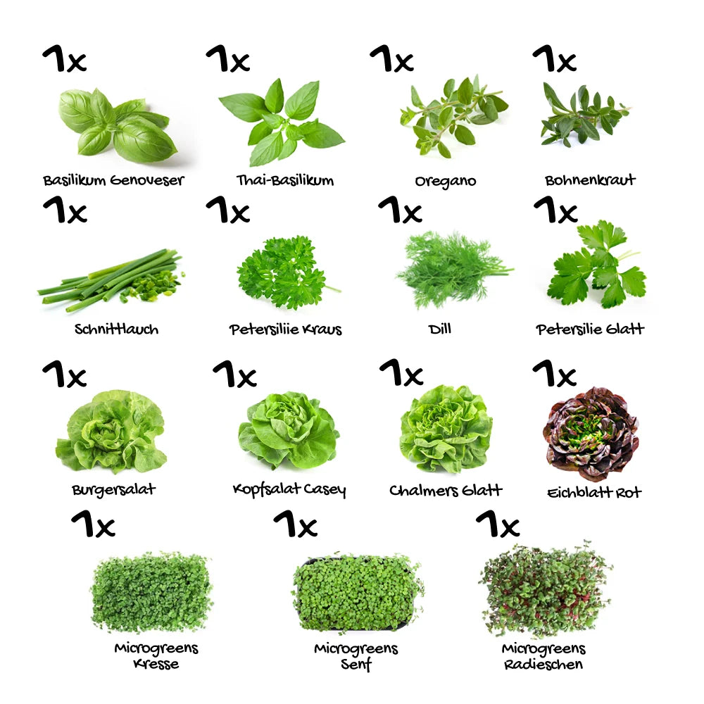Pflanzenset "Starter Mix" - 15er
