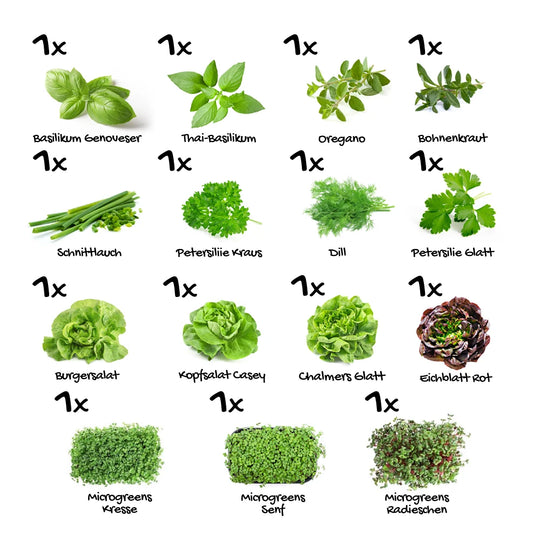 Pflanzenset "Starter Mix" - 15er
