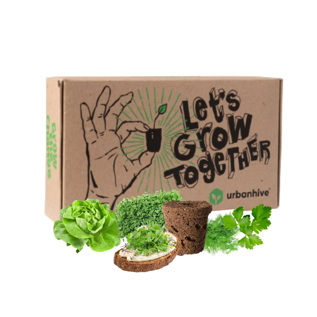 Kräuter- und Microgreensset "Stullentraum" 15er