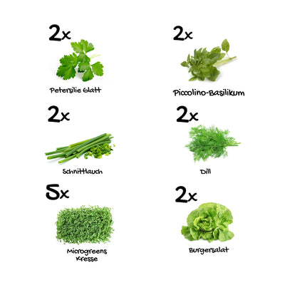 Kräuter- und Microgreensset "Stullentraum" 15er