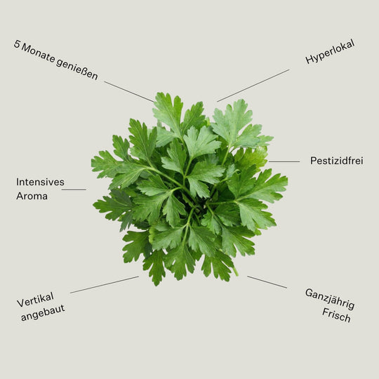 Parsley Flat